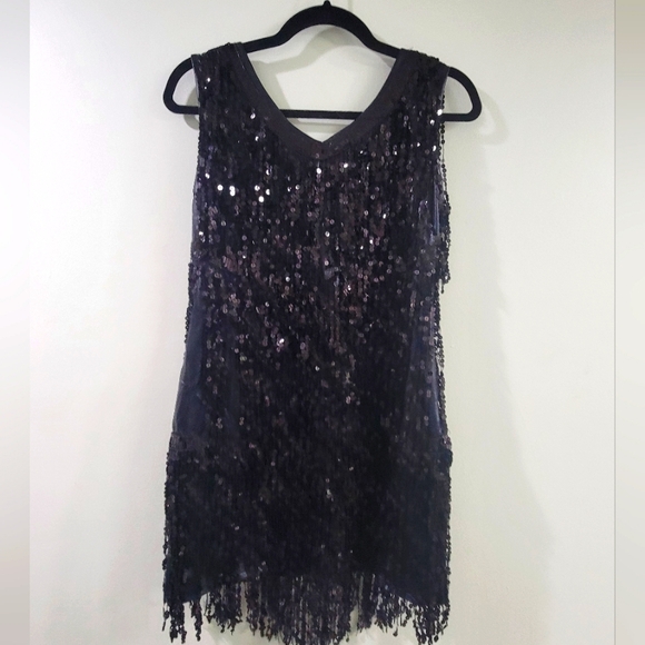 🎀CLEARANCE🎀 20's Flapper Girl dress stretchy dress with tassels of sequins. - Picture 3 of 6
